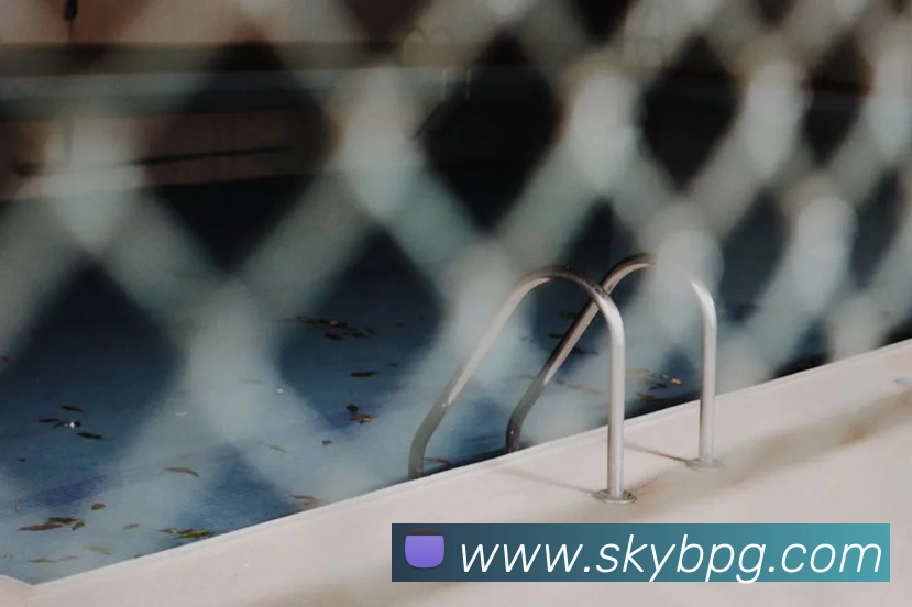 pg官网平台生态图